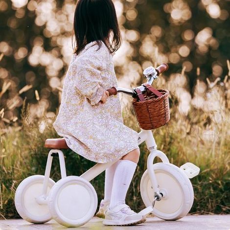 Cesta mini para bicicleta - Cesta para bicicleta infantil - Artículos de transporte - Diseño tejido a mano - 16 x 13 x 12,5 cm - Marrón (1/5)