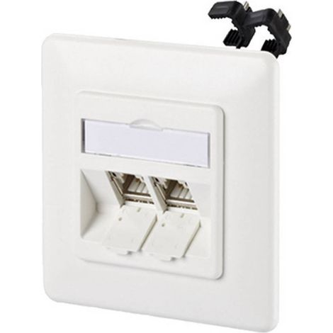 Metz Connect 130B11D21002-E Prise réseau encastré insert avec plaque centrale et châssis 2 ports blanc pur R68397 (1/3)