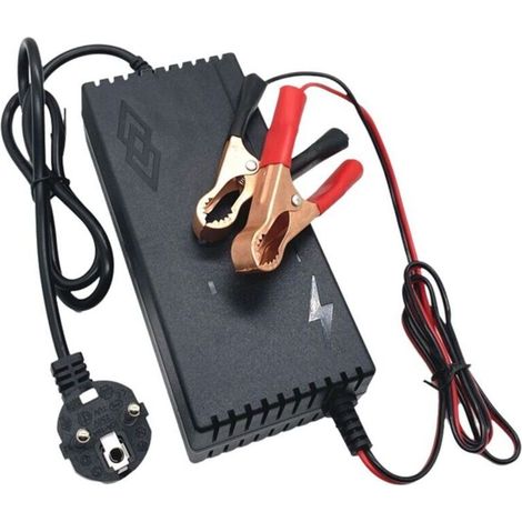 Chargeur de Batterie au Phosphate Fer Lifepo4 14,6 V 10 A pour Pack Lithium 12,8 4 S Prise UE (1/4)