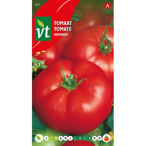 Tomate Marmande - Ca. 0,5 gr (Livraison Gratuite) (1/2)