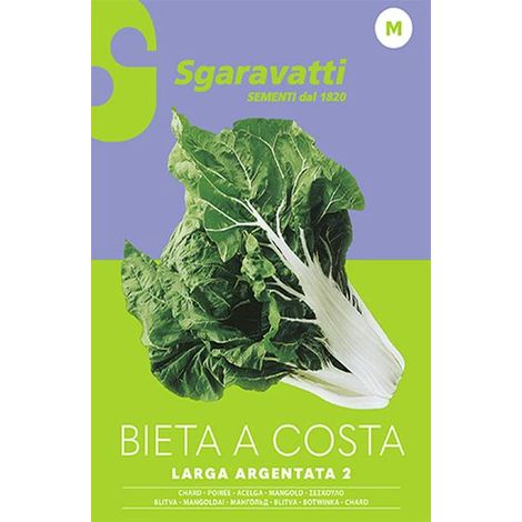 Semi per Ortaggi e Vegetali Bieta Sgaravatti Verde Costa Larga 10 Pezzi (1/3)