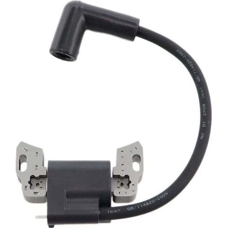 Bobine d'allumage pour moteur Briggs & Stratton 625EXi 500E 575EX 08P502 09P602 09P702 593872 799582 798534 595009 (1/4)
