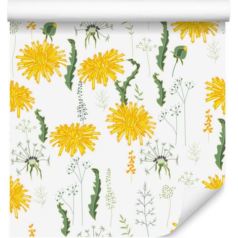Papier peint Fleurs de pissenlit de la collection Plantes des prairies pour salon et chambre 50x1000 cm (1/5)
