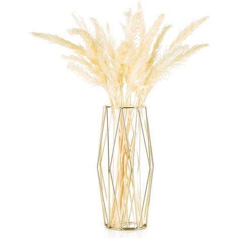 vase pour pampasgras (1/5)