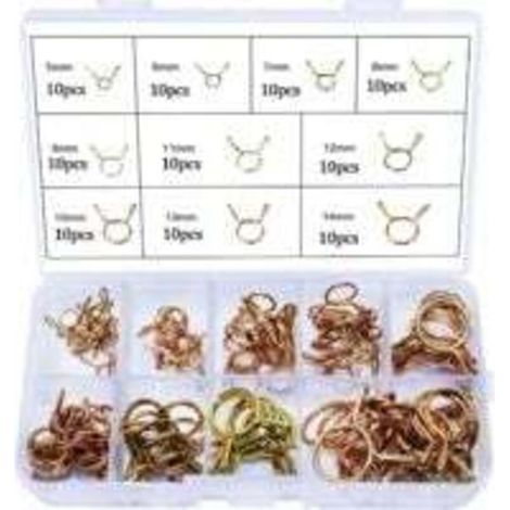 Collier de serrage 100 pièces Acier galvanisé Diamètres 5 à 14 mm Pour plomberie et automobile Boîte de rangement incluse - 100PCS