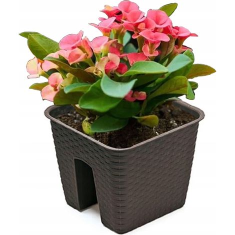 VASO DA BALCONE PER RATOLLA BOX DA BALCONE 272mm UMBRA (1/2)