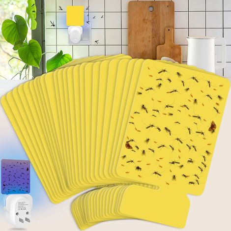 Recharge de piège à mouches d'intérieur, paquet de 24 cartes autocollantes jaunes pour mouches, moustiques, papillons et autres insectes (1/5)
