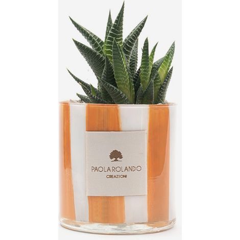 Pianta grassa in vaso di vetro decorato a mano Millerighe H 10 - Arancione