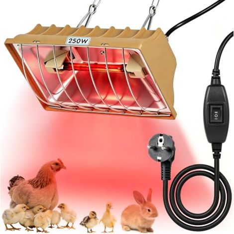 Lampe Chauffante Poussin 250W à Infrarouge, Réglage sur 2 Modes (1/5)