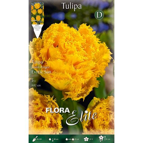 Bulbi di Tulipano Fringed Double Exotic Sun (CONFEZIONE DA 5 BULBI)
