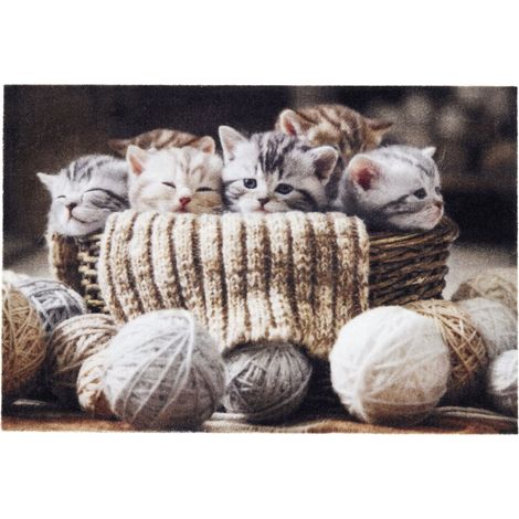 Paillasson extérieur et intérieur - 40 x 60 cm Chatons Laine (1/4)