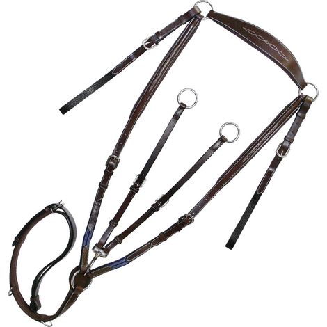 Cob, Marrone: Winner Jagd Martingal aus italienischem Leder mit 2-Punkt-Bindung und kontrastreicher Stickerei