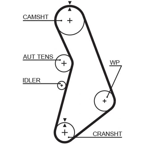 Kit de courroie crantée Gates K035491XS SEAT 06B198119A