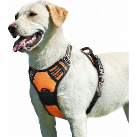 Orangefarbenes Hundegeschirr, verstellbar, reflektierend und reißfest, leicht anzulegen, mit Haltegriff, atmungsaktiv, strapazierfähig, für mittelgroße und große Hunde, Größe L (1/5)