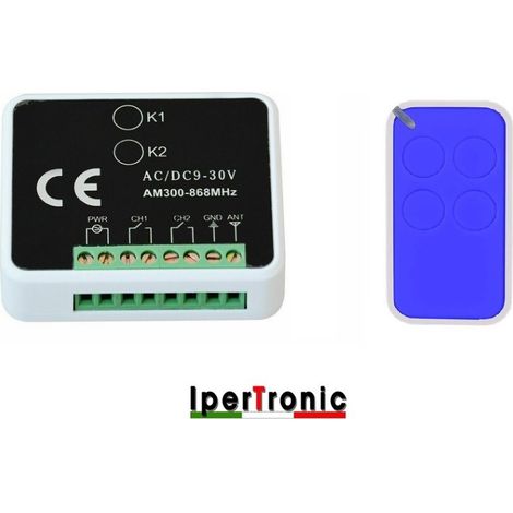 Kit ricevente bicanale con telecomando universale