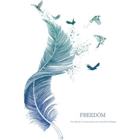 Sticker Mural Plume Bleu (123×71 cm) I Sticker Mural Décoratif Oiseau Affiche Moderne I Décoratif Salon Chambre Cuisine Couloir Meubles Salle de Bains Carrelage Adulte Adolescent Enfants (1/5)