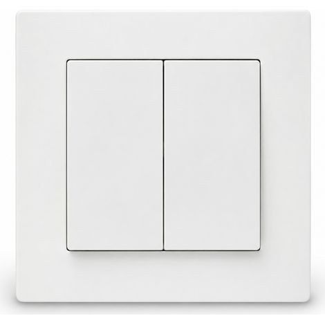 Prise avec interrupteur double 10A encastrable blanc mural (1/5)