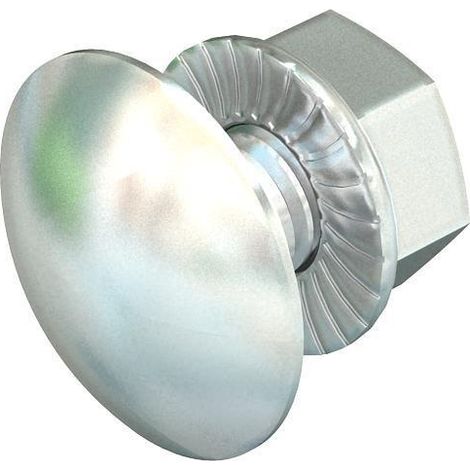 OBO FLACHRDSCHR M6X12 Vis Acier Inoxydable Argent Pack 100