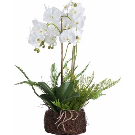 Large Orchid and Fern Garden in Rootball Artificial Flower - Plastic - L52 x W52 x H57 cm - White