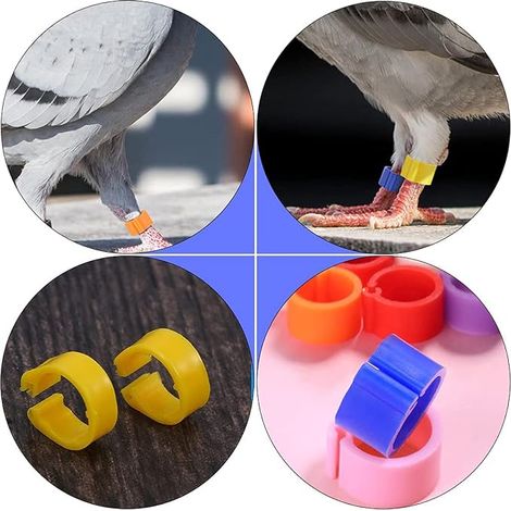 Bird Leg Ring Pigeon Foot Rings, Poultry Leg Rings, Suitable for Marking Poultry Thigh Rings, Ducks, Chickens, Pigeons and Quails (1/4)
