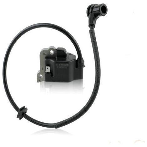 Bobine d'allumage haute tension compatible avec PR46BT PR48BT GB355BP Remplace 501424329 (1/2)