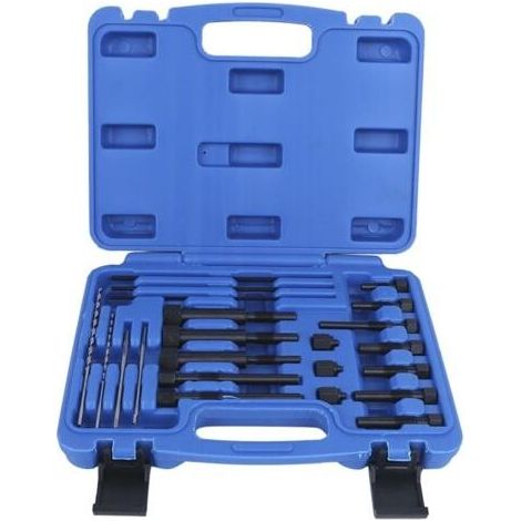 Extracteur de bougies de préchauffage – Kit complet avec 7 guides et 5 adaptateurs M8/M10 en acier robuste pour un démontage rapide et sécurisé (1/5)