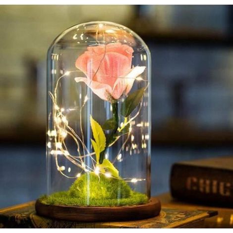 Rose Eternelle - - La Belle et la Bête - Soie - Dôme en Verre - Base en Bois (1/5)
