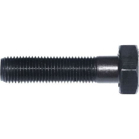 Vis de rail L.40mm D.9,5mm (1/2)