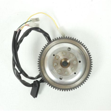 Zündung Stator Rotor für Motorrad Minarelli 50 AM6 754537 (1/5)