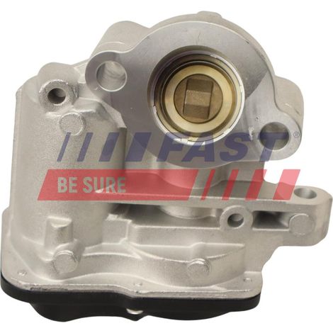 FT60244 schnelles AGR-Ventil (1/4)