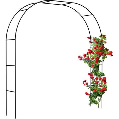 Arche à rosiers, métal, treillis, jardin, H : 250 cm, 2 largeurs : 235 ou 180 cm, plantes grimpantes, noir (1/5)