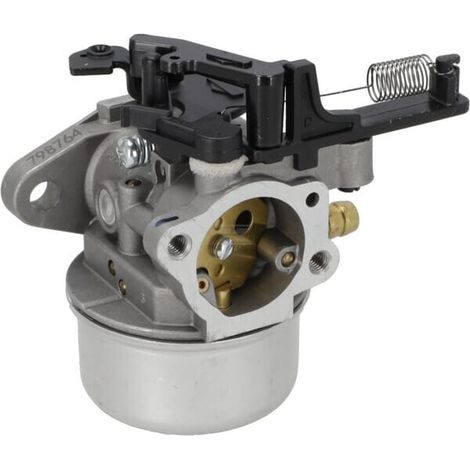 Carburateur BRIGGS & STRATTON 84006242 (1/2)