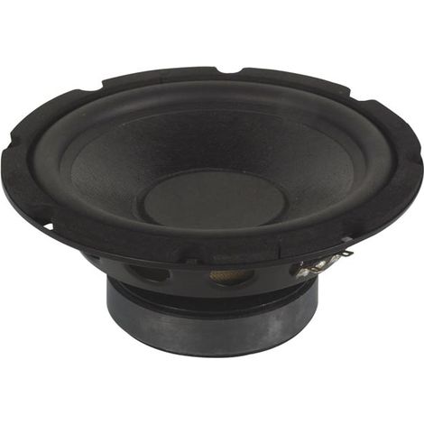 Subwoofer nero per altoparlante, 10" / 350w