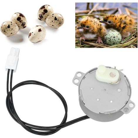 Eierrotationsmotor – 4-W-Aluminium-Rotationstrommelmotor – Synchronelektrisch für Hühner, Enten und Vögel (220–240 V)