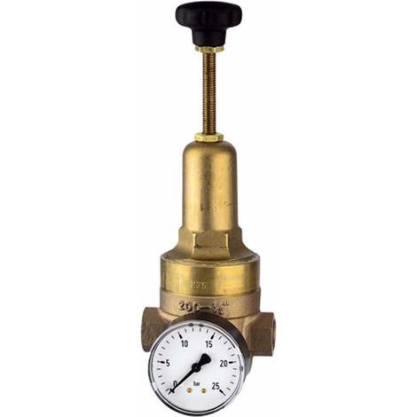Riegler Druckregler DRV 225, Hochdruckausführung, G 1 1/4, 1,5 - 20 bar (1/4)