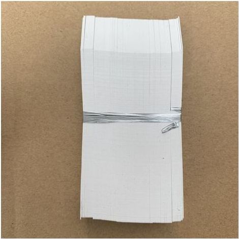 pair 100 Pièces Étiquettes- Blanc pour Plantes de Jardin en Plastique Etiquette Semis de 2x10cm (1/5)