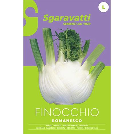 Semi per Ortaggi e Vegetali Finocchio Romanesco Sgaravatti 20 Pezzi (1/2)
