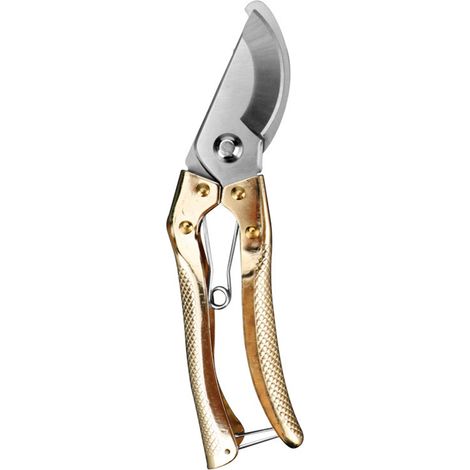 Sécateur en acier avec poignées ergonomiques, ciseaux de jardinage, sécateur pour bonsaï, kit d'outils de jardinage professionnels pour plantes, rosiers, fleurs, arbres fruitiers et sapins de Noël. (1/5)
