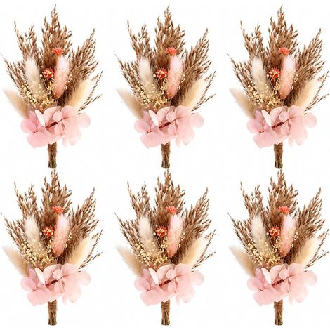 6 Mini Bouquets de Fleurs Séchées – Fleurs séchées avec Herbe de la Pampa (1/5)