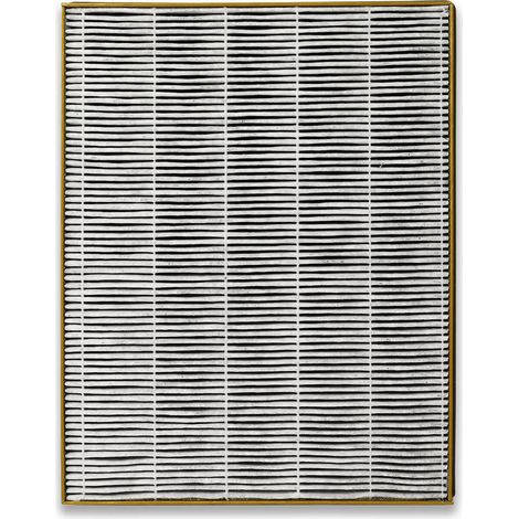 Filtro per purificatore d'aria Toshiba CAF-H30(W) CAF-X50XPL