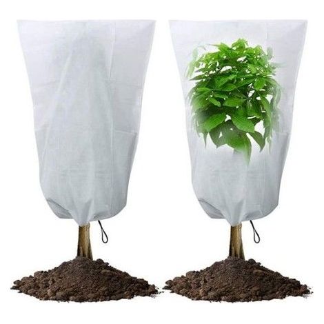 Housse d'hivernage pour plantes - Superma - Protection contre le gel - 60x80 cm - 2 pièces - Anti-UV (1/5)