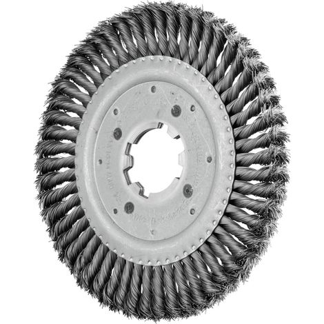 PFERD TOOLS Rundbürste gezopft RBG Ø 250x16x50,8 mm Bohrung Stahl-Draht-Ø 0,50mm stationär (1/5)
