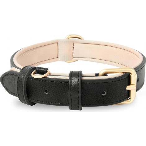 Collier pour Chien, en Cuir, Collier de Chien Ajustable Coussin Moelleux Cuir Nouvelle Couleur de Rembourrage pour Petits, Moyens ou Grands Chiens, Noir, S (1/5)