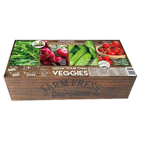 Carré de Potager Légumes avec mini serres