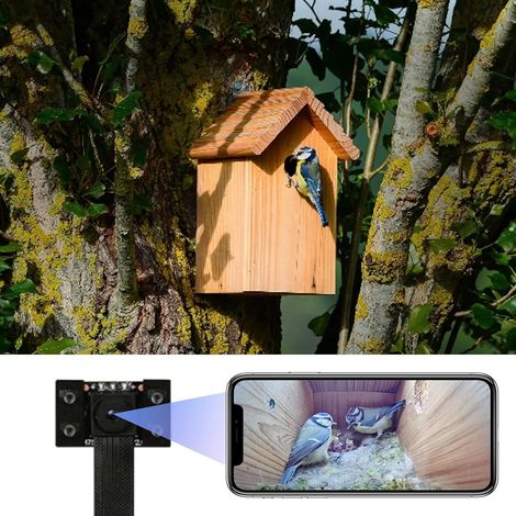 Mini caméra pour nichoir, Wi-FI 4K HD, avec Transmission en Direct sur téléphone Portable, Vision Nocturne, Batterie, Camera pour Mangeoire, Caméra d'observation des Oiseaux (1/5)