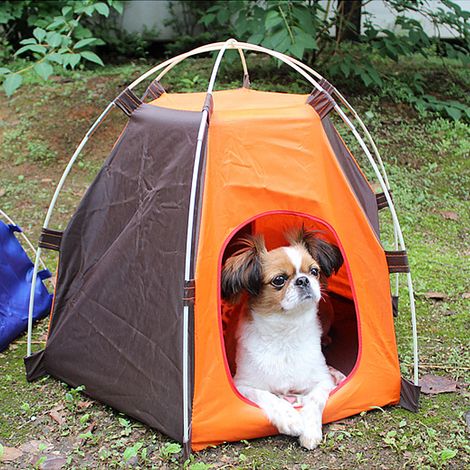 Tente pliante portable pour chien et chat, abri extérieur imperméable pour animaux (1/5)