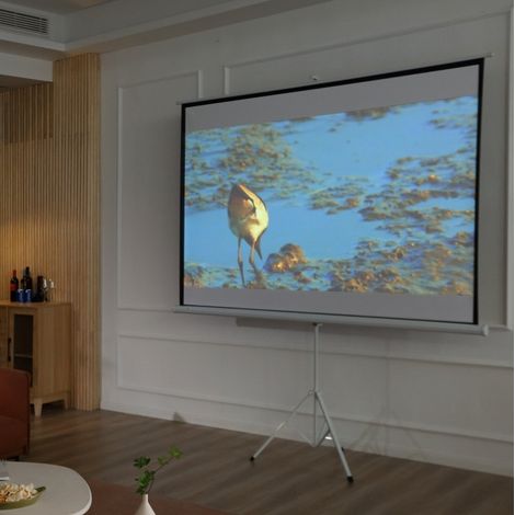 Schermo di proiezione 203x152 cm in tessuto bianco pieghevole per home cinema e ufficio – MEUBLIV (1/5)