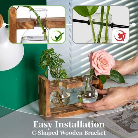 Station De Propagation - Vase En Verre Pour Bouturage - Pour Avocat Gland Et Plantes Aquatiques - Avec Support En Bois - Lot De 3 (1/5)