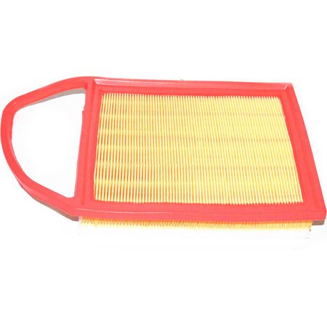 Filtro aria FT37134 rapido