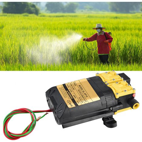 Pompe à eau électrique agricole haute pression 12 V pour pulvérisateur (1/5)